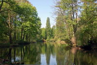 See im Tiergarten Park