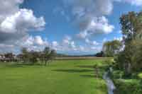 Sommerwiese mit Bach