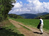 Wandern Schwarzwald